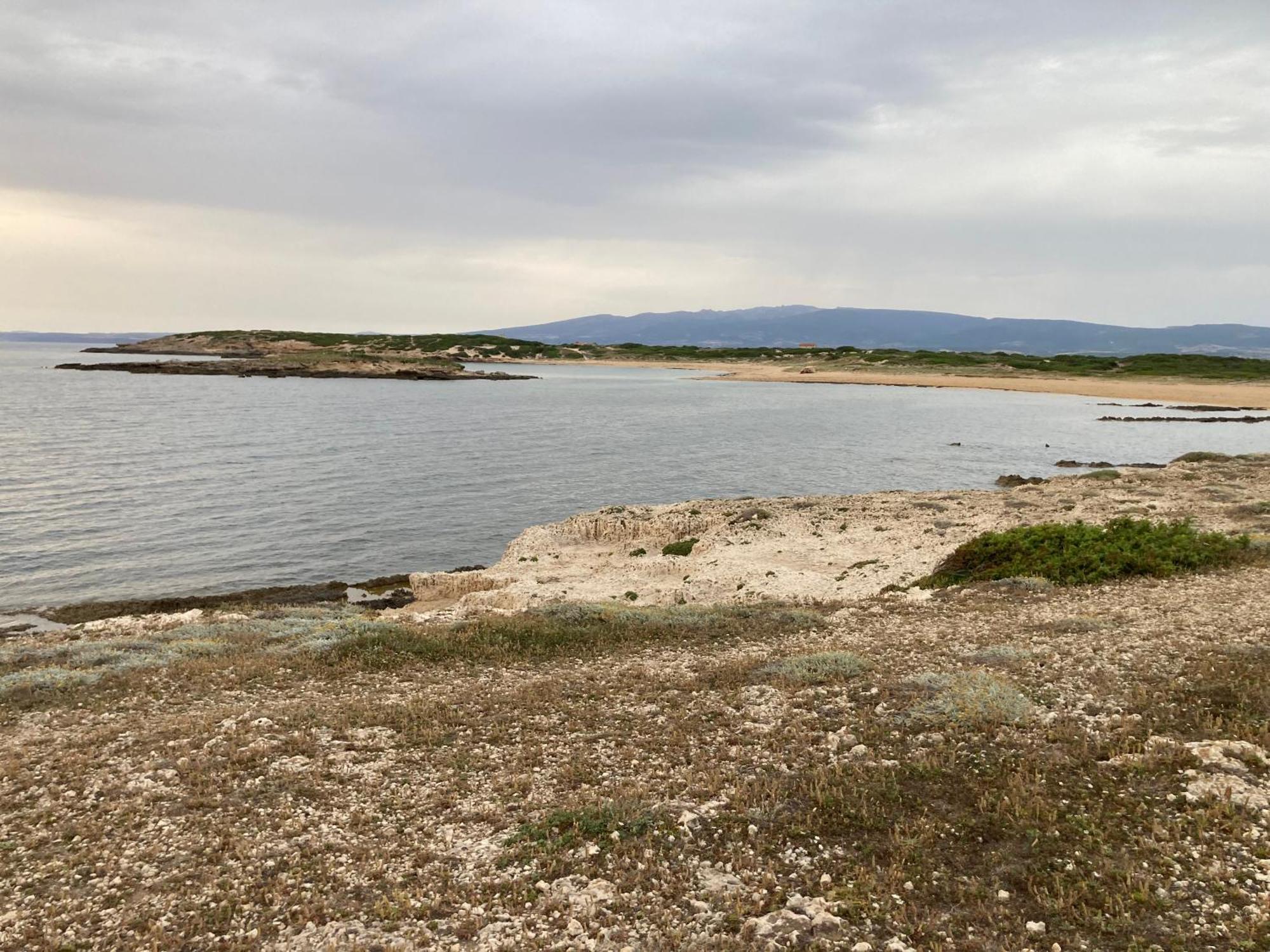 Fronte Mare S'Arena Scoada Apartment Putzu Idu Exterior foto